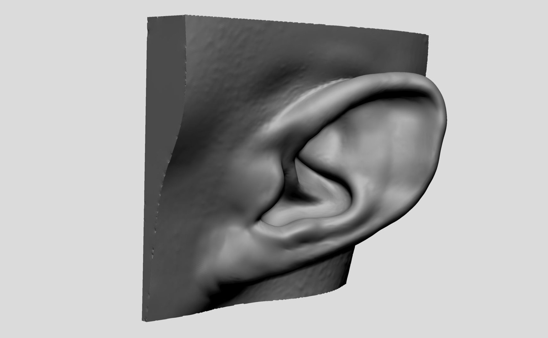Ear Models 3D Model - TurboSquid 1891982