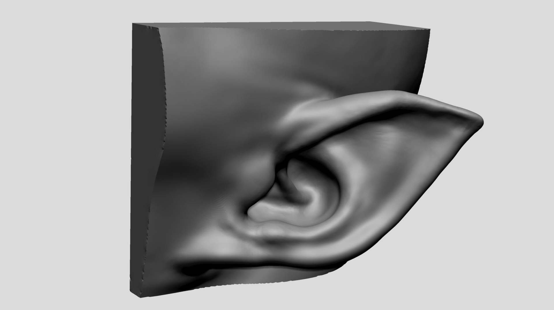 Ear Models 3D Model - TurboSquid 1891982