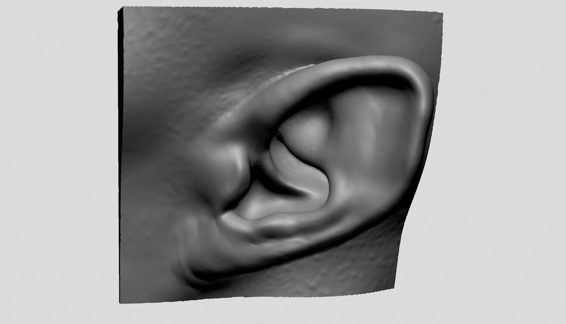 Ear Models 3D Model - TurboSquid 1891982