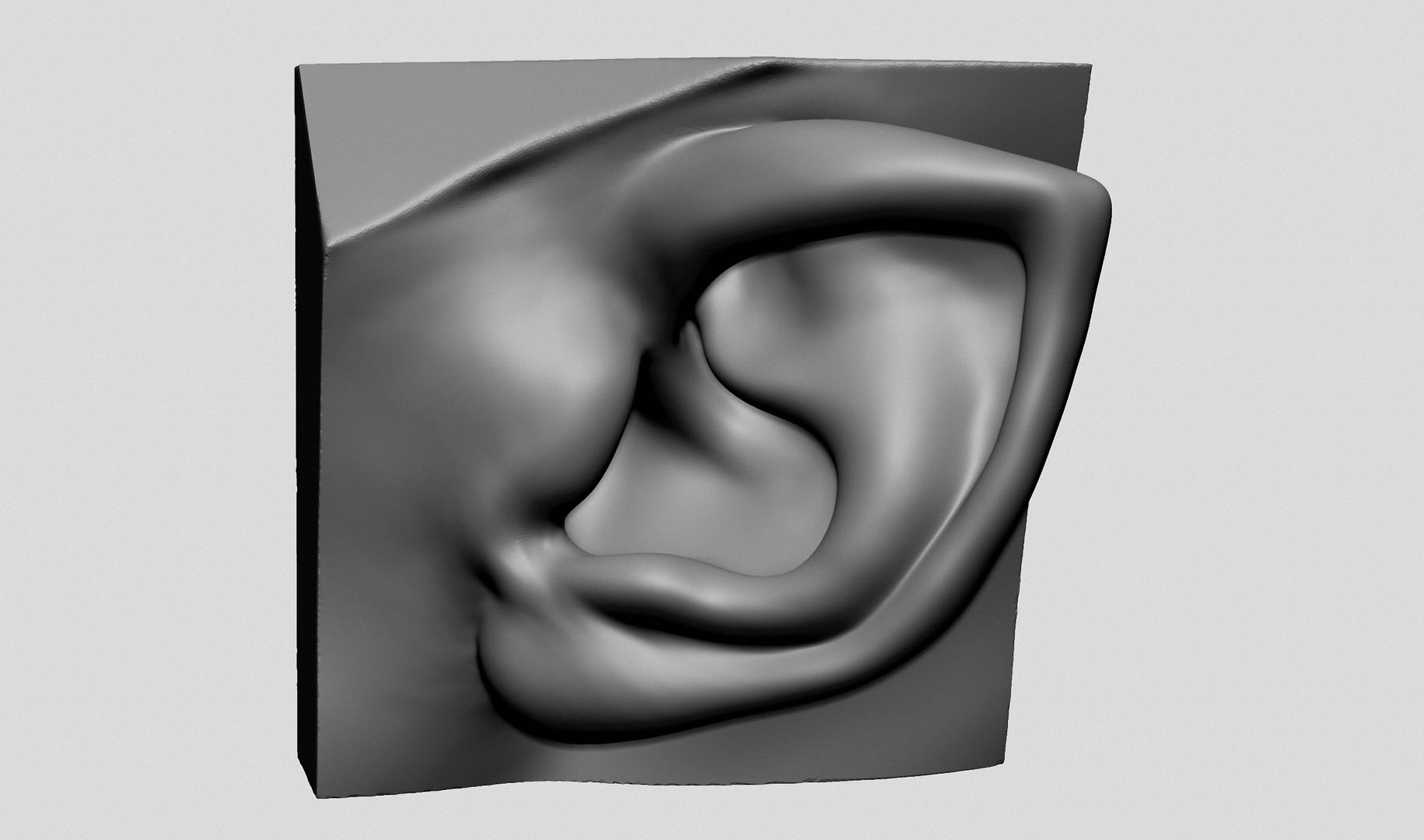 Ear Models 3D Model - TurboSquid 1891982