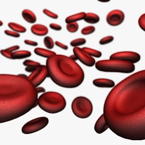 red blood cells