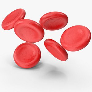 3D model Blood Cells