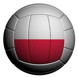 3D model volleyball ball