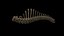 Mammuthus primigenius Anatomy Pack
