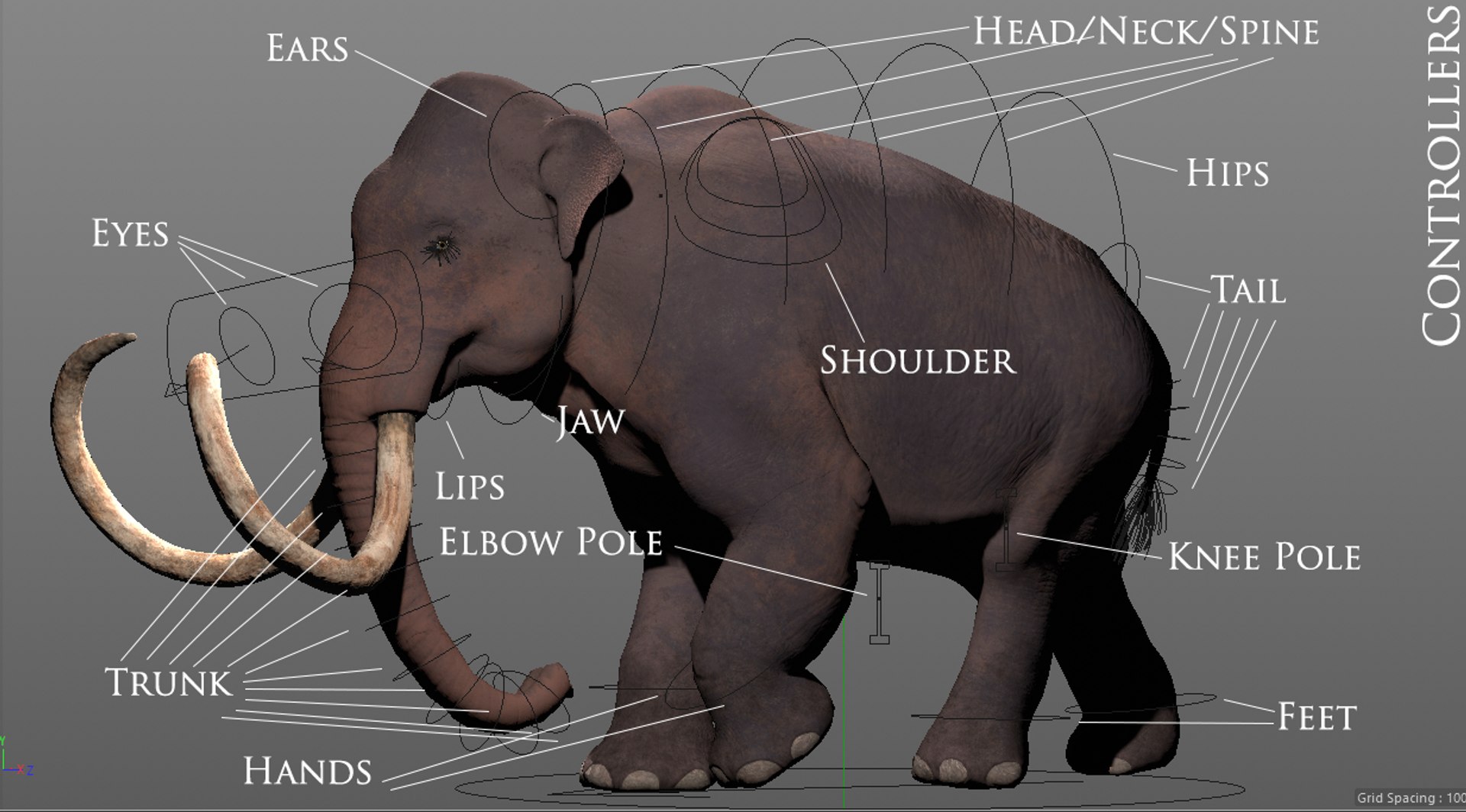 3D mammuthus primigenius anatomy pack model https://p.turbosquid.com/ts-thumb/Lz/NzeOD2/Jn5xemw0/rigg/png/1514858293/1920x1080/fit_q87/c282d34e109ca7b8955cb68ecdce1d07535f3f14/rigg.jpg