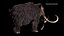 Mammuthus primigenius Anatomy Pack