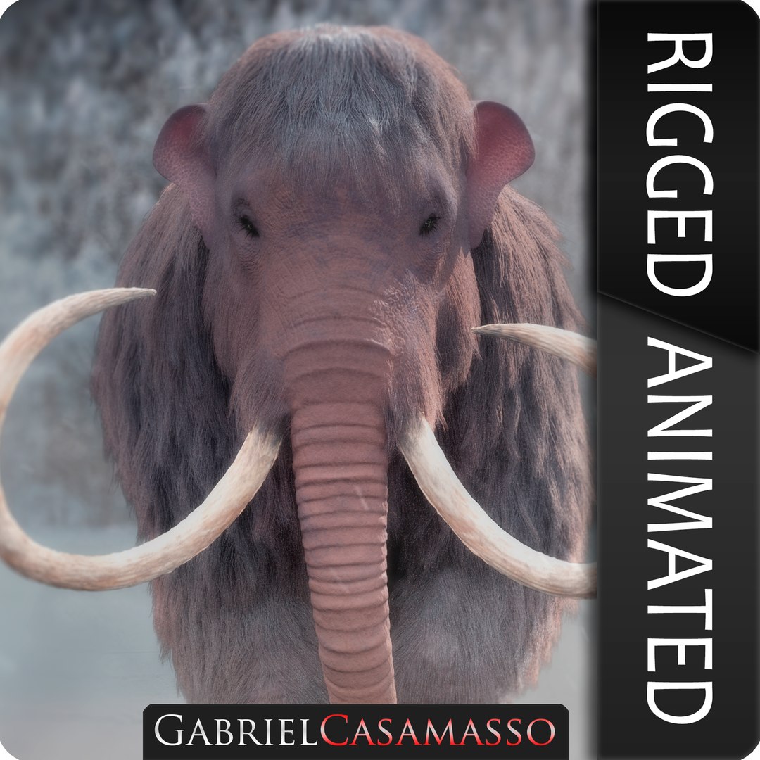 3D mammuthus primigenius anatomy pack model https://p.turbosquid.com/ts-thumb/Lz/NzeOD2/Kvfh7DVg/primeginiusthumbnail2/png/1533261497/1920x1080/fit_q87/838dff06cbb3808b45b86e65c658241749d25069/primeginiusthumbnail2.jpg