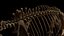Mammuthus primigenius Anatomy Pack