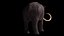 Mammuthus primigenius Anatomy Pack