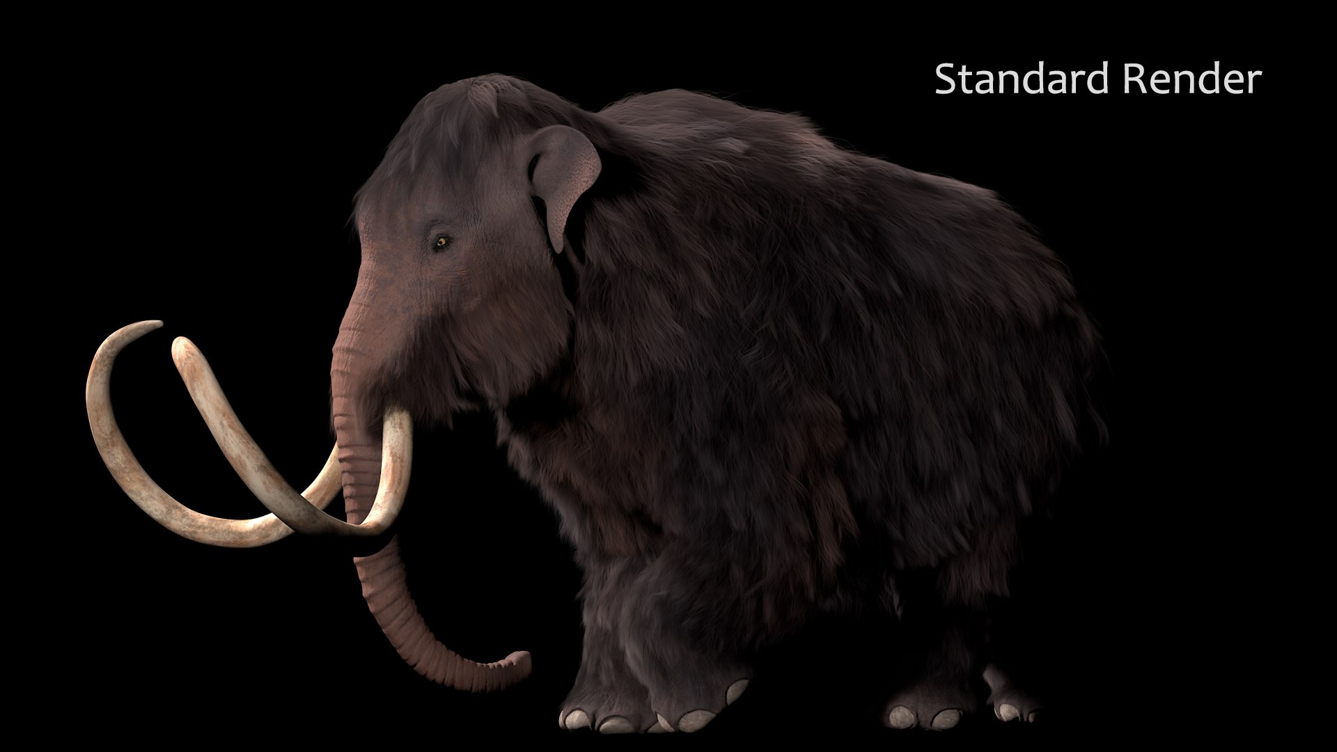 3D mammuthus primigenius anatomy pack model https://p.turbosquid.com/ts-thumb/Lz/NzeOD2/fAk8fkXL/17/png/1514858292/1920x1080/fit_q87/768c3b6eb0ac8e93f6d708871fcc9af5f754582a/17.jpg