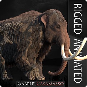 Mammuthus primigenius Anatomy Pack