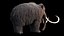 Mammuthus primigenius Anatomy Pack