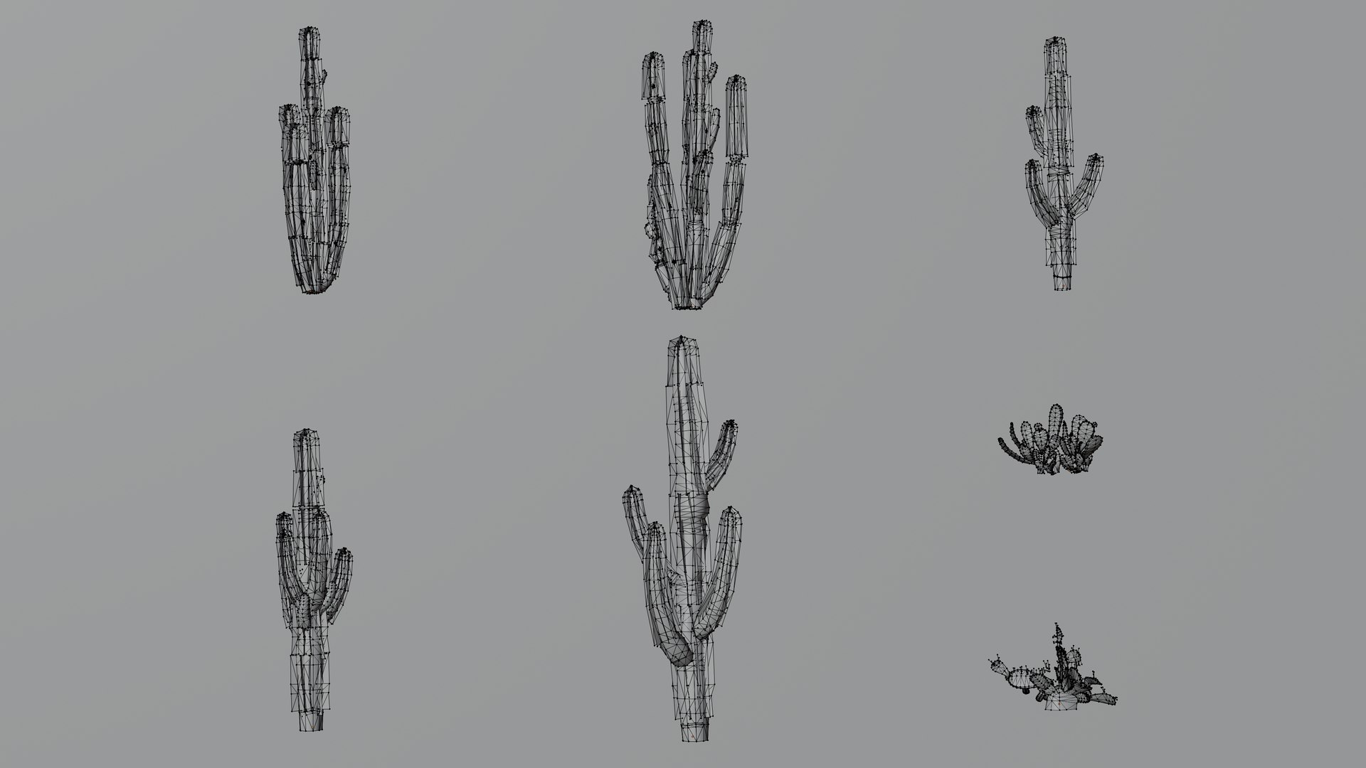 7 in 1 Desert Plants Collection 01 Cactus 3D model https://p.turbosquid.com/ts-thumb/Lz/gJvda5/Ye/desert_plants_01_cactus_wf/png/1744122688/1920x1080/fit_q87/2f132258065e4460f7b7ccedf8ce0a778a47fd71/desert_plants_01_cactus_wf.jpg