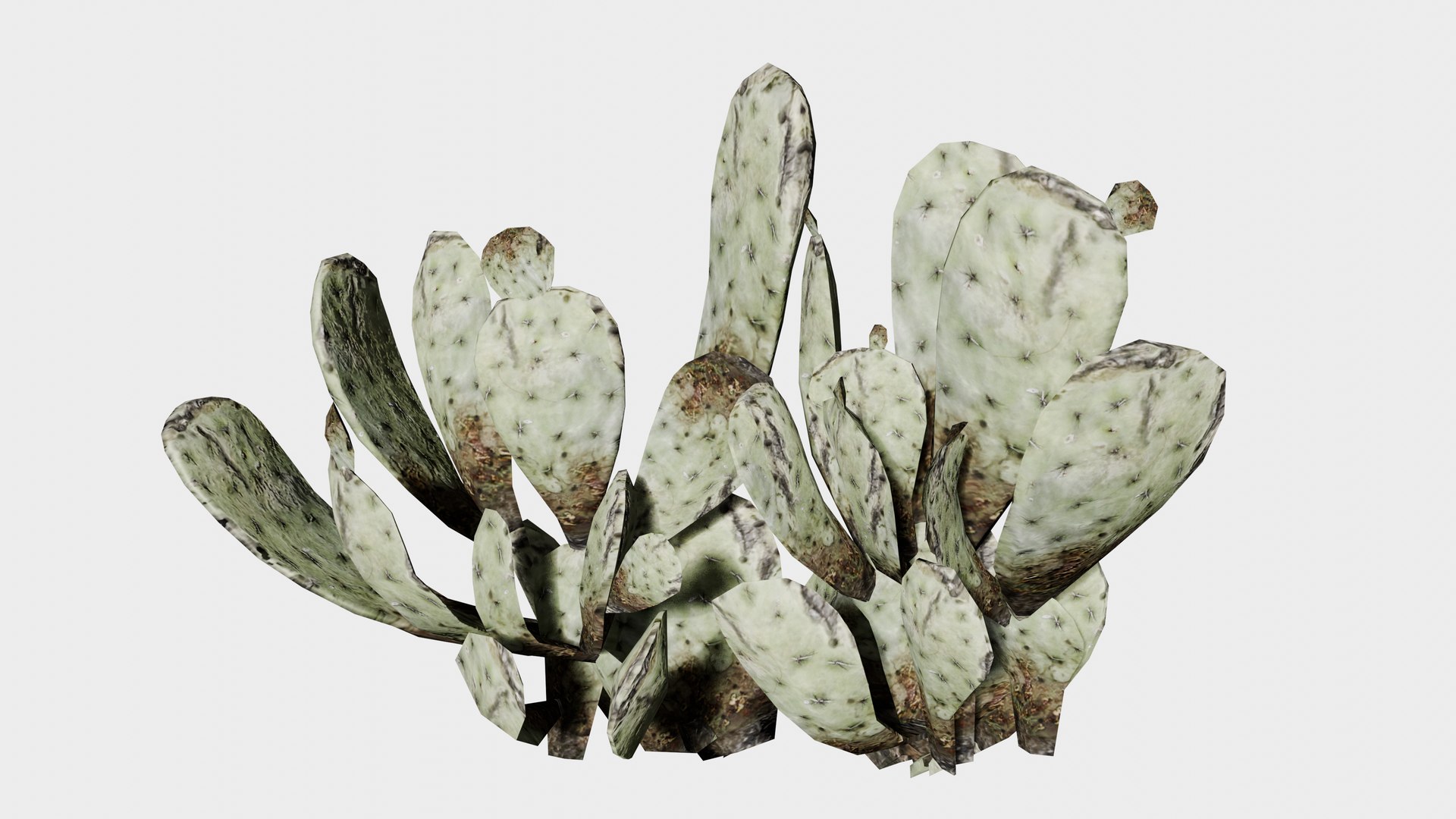 7 in 1 Desert Plants Collection 01 Cactus 3D model https://p.turbosquid.com/ts-thumb/Lz/gJvda5/nW/prop_cactus_06/png/1744122696/1920x1080/fit_q87/200ba27a25fadc8c08286682a6fb8d7602b1e512/prop_cactus_06.jpg