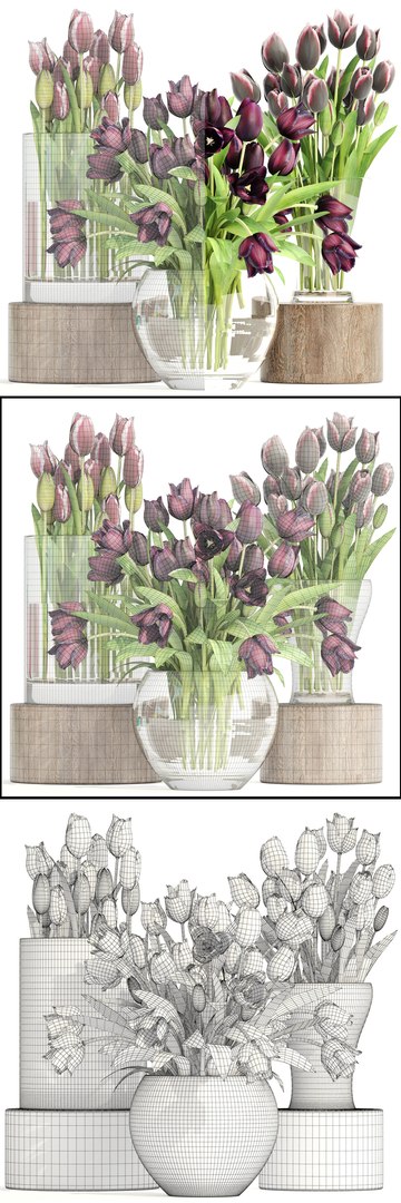 Bouquet Tulips 3 Pieces 3D Model - TurboSquid 1263474