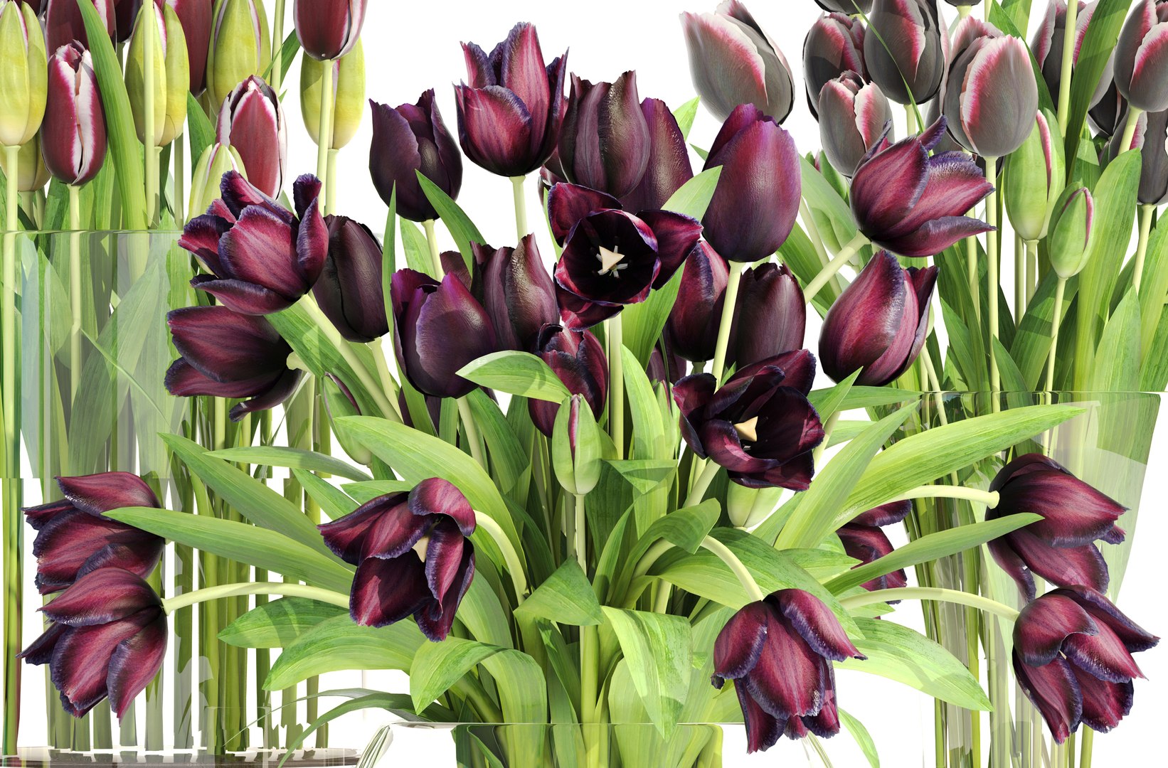 Bouquet Tulips 3 Pieces 3D Model - TurboSquid 1263474