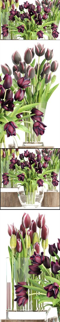 Bouquet Tulips 3 Pieces 3D Model - TurboSquid 1263474