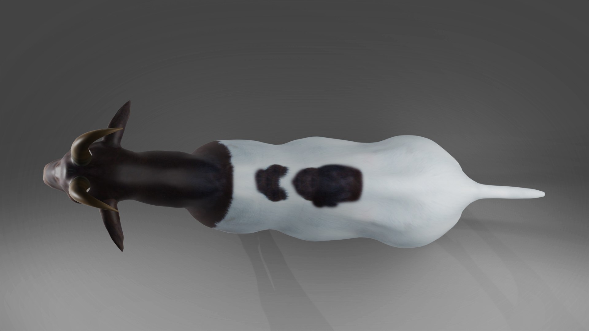 Goat 03 Rigged And Animation 3D - TurboSquid 2010015
