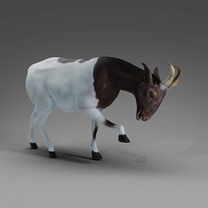 Goat 03 Rigged and Animation 3D