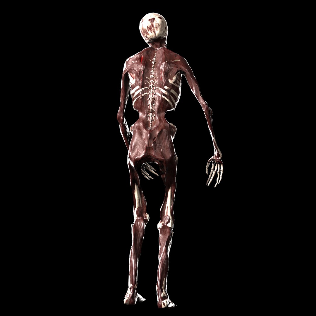 Zombie Rigged Max