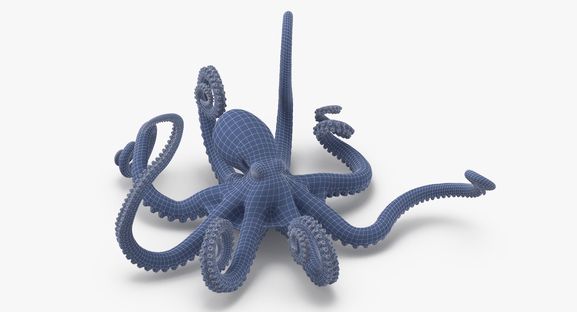 octopus rigged - max https://p.turbosquid.com/ts-thumb/Lz/xw8m8g/05wM5k3B/octopus_pixelsquid_signaturepose_001_wireframe_0002/jpg/1480321017/1920x1080/fit_q87/19ca37eea3022a9d8e122dacb2c48cbc27a80274/octopus_pixelsquid_signaturepose_001_wireframe_0002.jpg