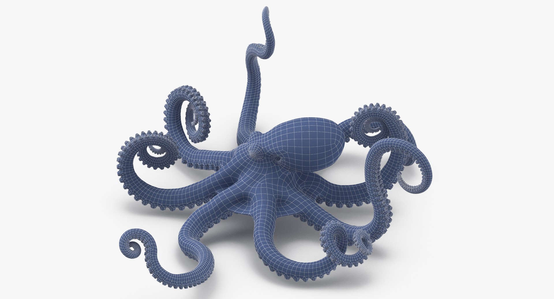 octopus rigged - max https://p.turbosquid.com/ts-thumb/Lz/xw8m8g/2JwHfyEs/octopus_pixelsquid_signaturepose_001_wireframe_0005/jpg/1480321017/1920x1080/fit_q87/bab9178e5e9d0bd1d836f3e14de5c4ea65a7bdbd/octopus_pixelsquid_signaturepose_001_wireframe_0005.jpg