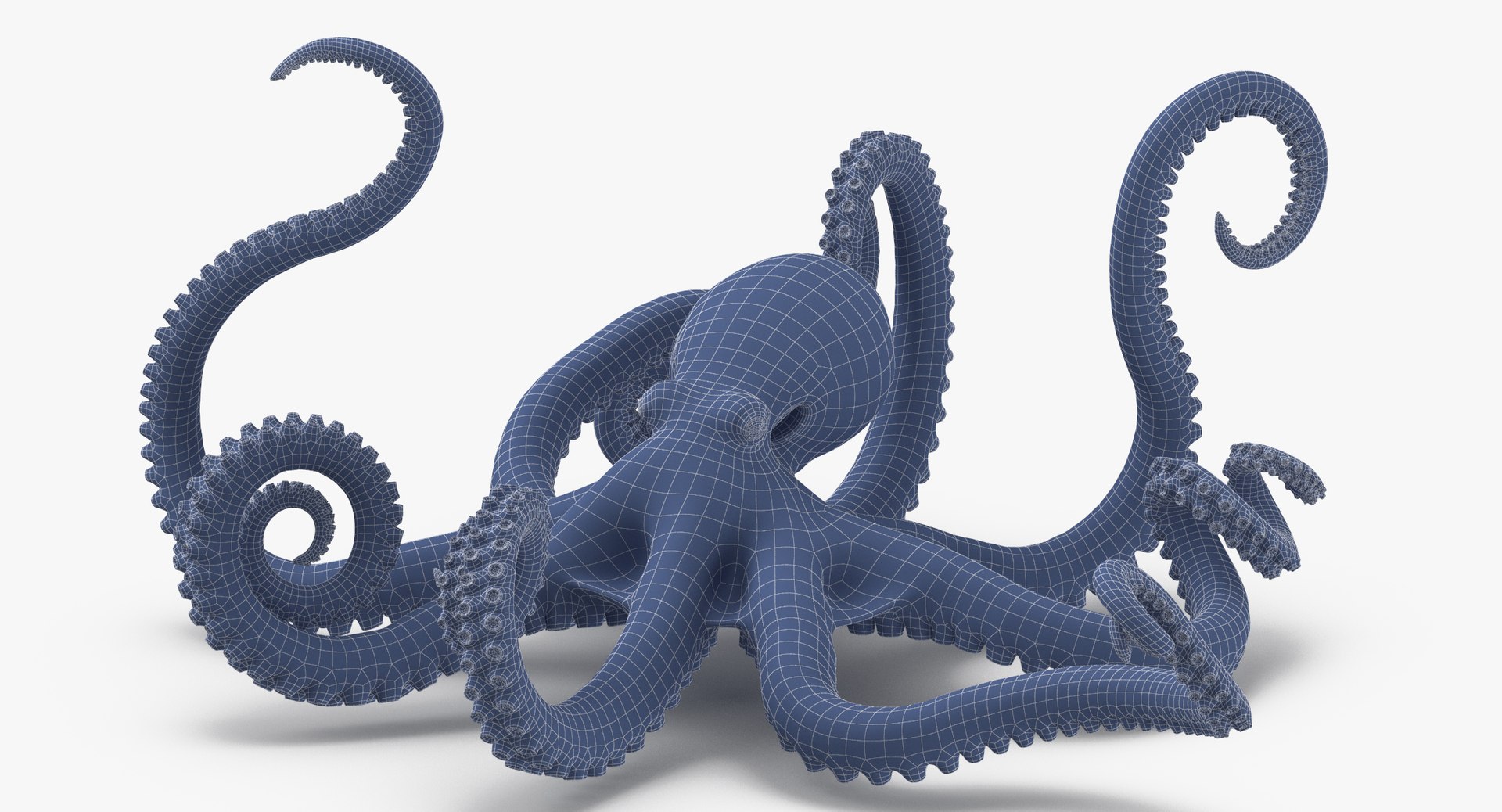 octopus rigged - max https://p.turbosquid.com/ts-thumb/Lz/xw8m8g/BGG4et2H/octopus_pixelsquid_signaturepose_001_wireframe_0006/jpg/1480321017/1920x1080/fit_q87/b3e047bd0c9aa2212fdc13bc05e67d07bc73d8cf/octopus_pixelsquid_signaturepose_001_wireframe_0006.jpg