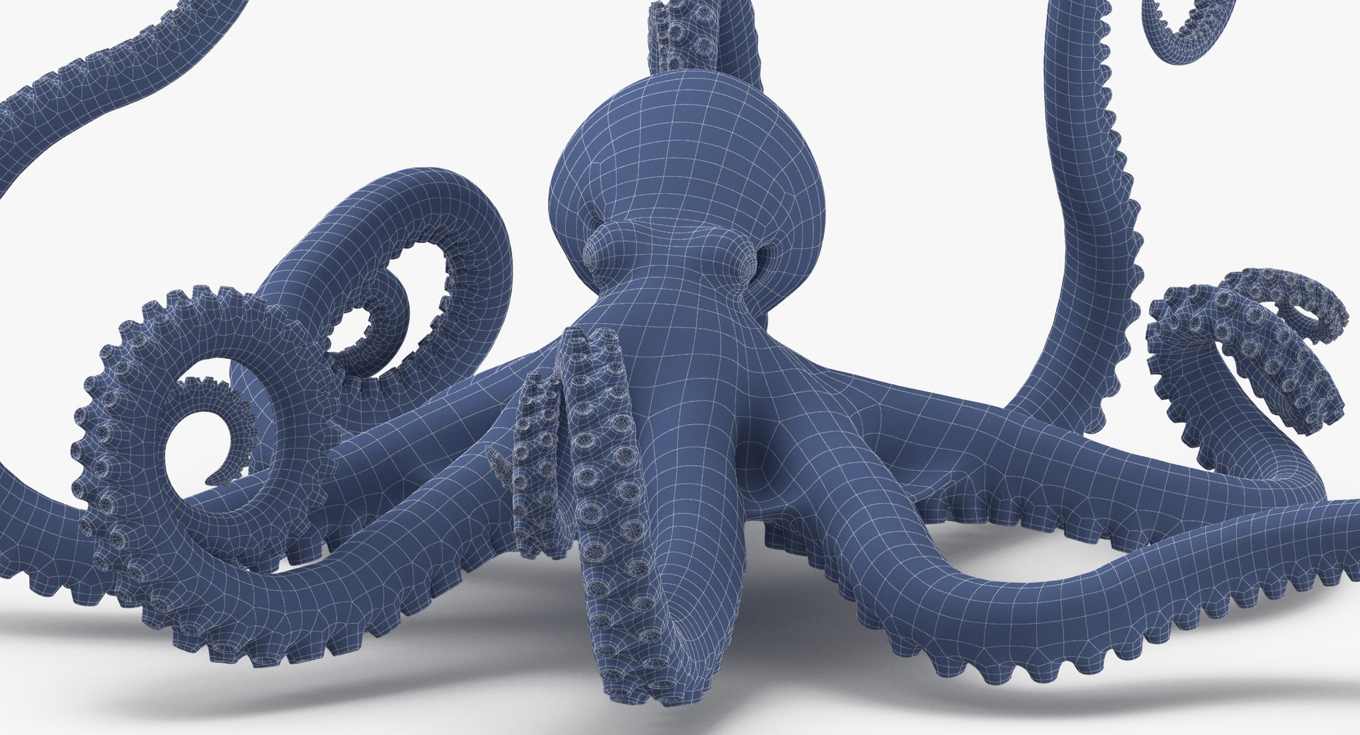 octopus rigged - max https://p.turbosquid.com/ts-thumb/Lz/xw8m8g/BT7tYHrR/octopus_pixelsquid_signaturepose_001_wireframe_0009/jpg/1480321017/1920x1080/fit_q87/6a164b40f59d0cb1ae519314f41dbf45b1ebb0ea/octopus_pixelsquid_signaturepose_001_wireframe_0009.jpg