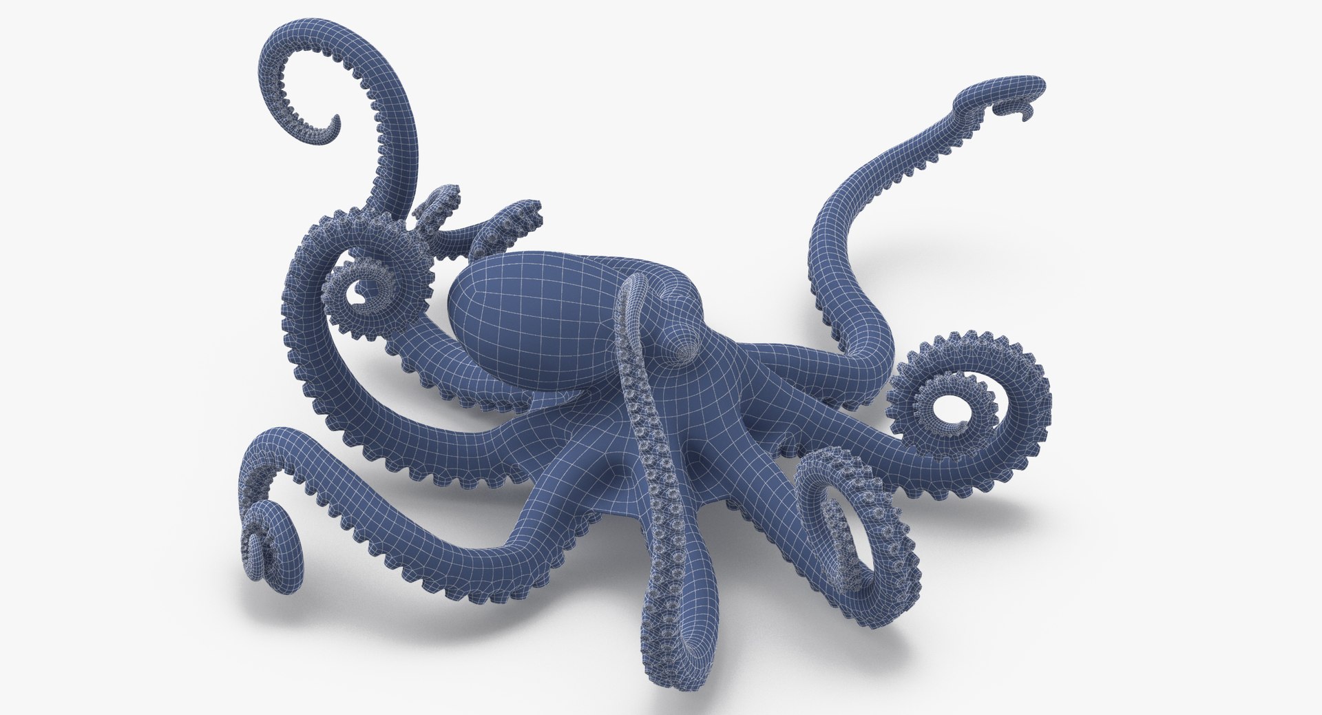 octopus rigged - max https://p.turbosquid.com/ts-thumb/Lz/xw8m8g/GgaPnN9V/octopus_pixelsquid_signaturepose_001_wireframe_0003/jpg/1480321017/1920x1080/fit_q87/cbbafc847433438d4af78091ff9b3e6aa411cf15/octopus_pixelsquid_signaturepose_001_wireframe_0003.jpg