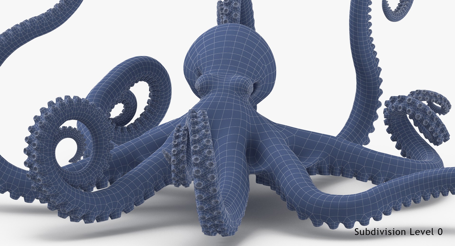 octopus rigged - max https://p.turbosquid.com/ts-thumb/Lz/xw8m8g/KI9Me5Sp/octopus_pixelsquid_signaturepose_001_wireframe_subdiv0/jpg/1480321017/1920x1080/fit_q87/a37ce4e2293f3d0e171a3d80639783498ee3c300/octopus_pixelsquid_signaturepose_001_wireframe_subdiv0.jpg