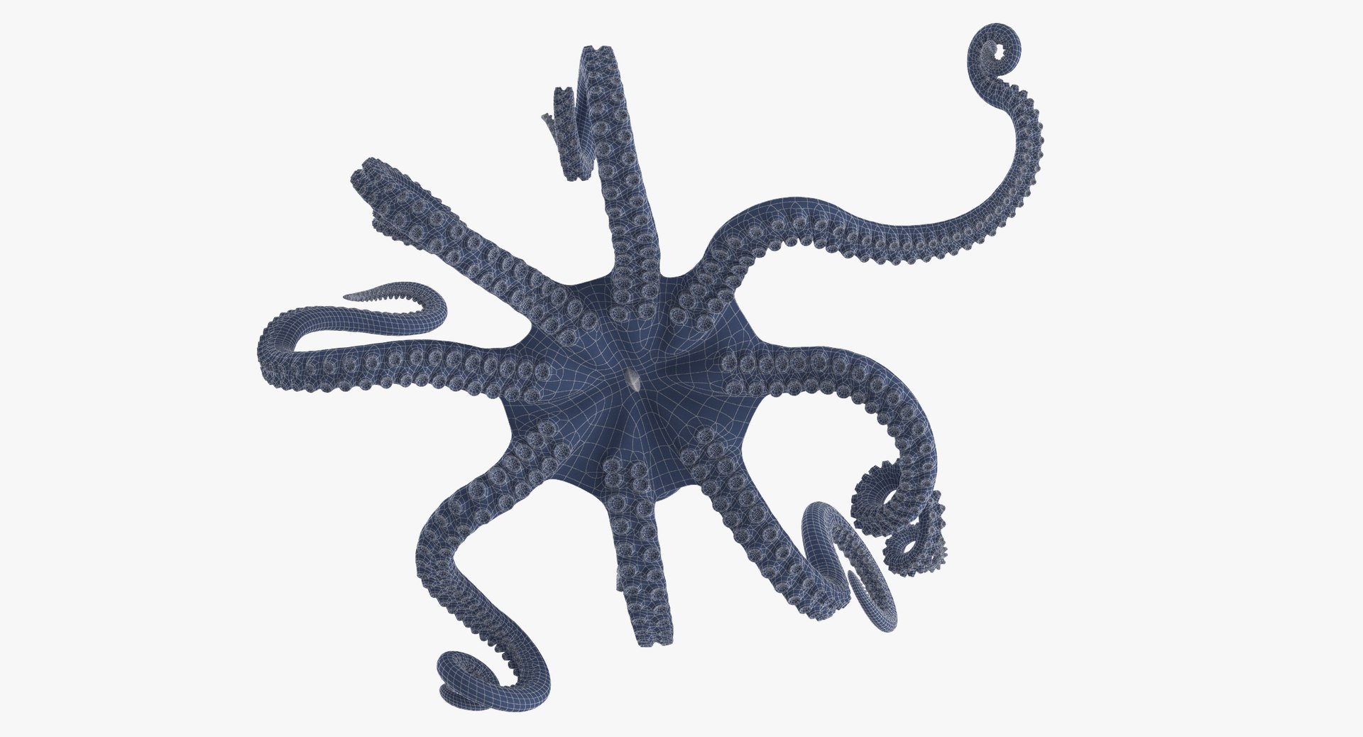 octopus rigged - max https://p.turbosquid.com/ts-thumb/Lz/xw8m8g/eLSYsW35/octopus_pixelsquid_signaturepose_001_wireframe_0008/jpg/1480321017/1920x1080/fit_q87/63c8b3cd31e1f5145c9fbc5437f21de08d8a0ec9/octopus_pixelsquid_signaturepose_001_wireframe_0008.jpg