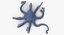 Octopus - Rigged