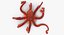 Octopus - Rigged