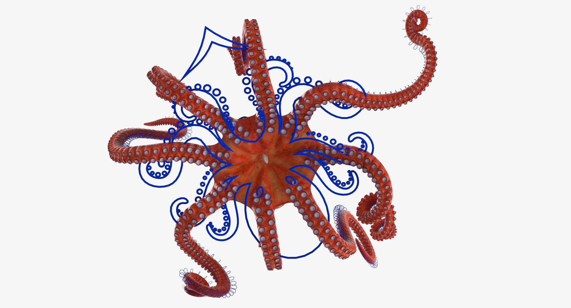 octopus rigged - max https://p.turbosquid.com/ts-thumb/Lz/xw8m8g/lfYV5AtD/octopus_pixelsquid_signaturepose_001_thumbnail_controller_0008/jpg/1480321017/1920x1080/fit_q87/c4952e7f7f563bc2a94f3334fcf25374f069a5e0/octopus_pixelsquid_signaturepose_001_thumbnail_controller_0008.jpg