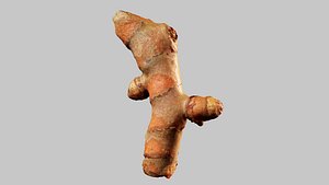 3D Turmeric - Photorealistic Scan model