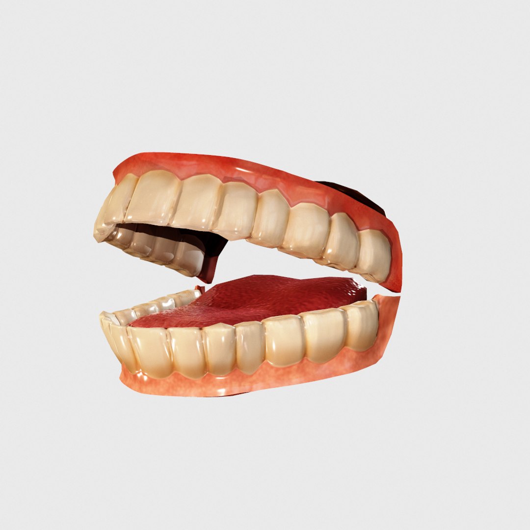 teeth 3D model https://p.turbosquid.com/ts-thumb/M0/0FJSDr/BwiVrLtv/screenshot004/png/1546315124/1920x1080/fit_q87/60d065bef50f25ce79c4b08b443405eae1e9581b/screenshot004.jpg