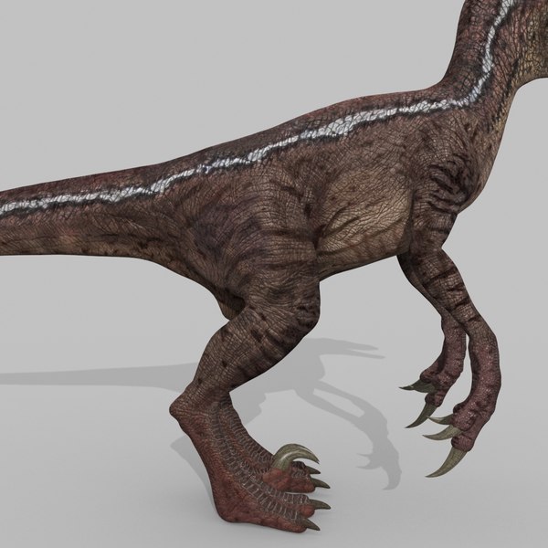 3D raptor - model - TurboSquid 1705307