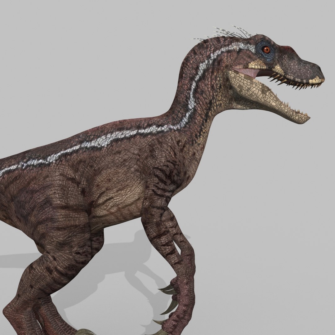 3D raptor - model https://p.turbosquid.com/ts-thumb/M0/9PdUBi/AG/3/jpg/1615832133/1920x1080/fit_q87/8d3a15baa8b9d9d5d1d912acc8d1863a12cc2fc3/3.jpg