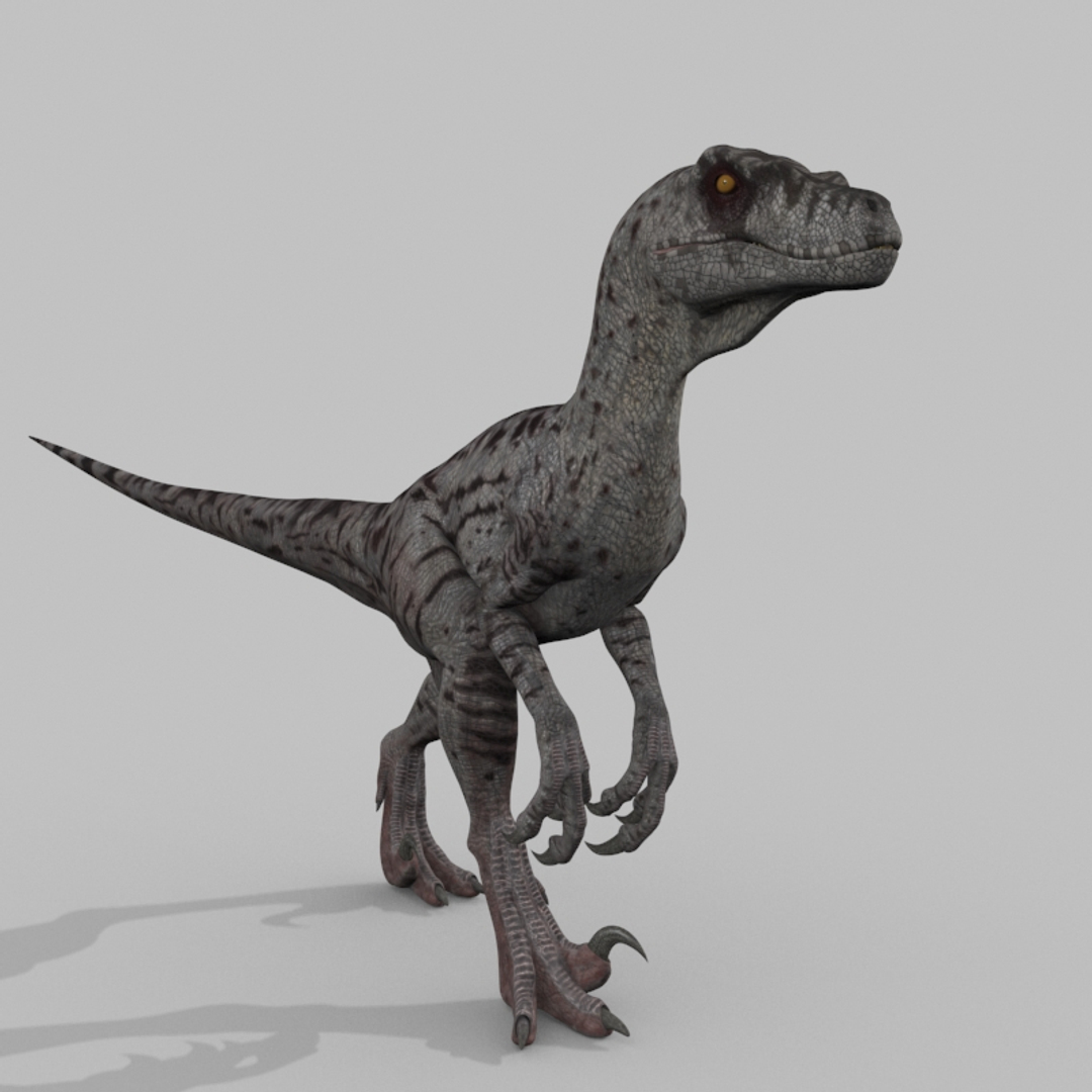 3D raptor - model https://p.turbosquid.com/ts-thumb/M0/9PdUBi/BT/image/jpg/1615832300/1920x1080/turn_fit_q99/cae9c07d3a67014f2d4c7ee8a703599b1eabffd8/image-1.jpg