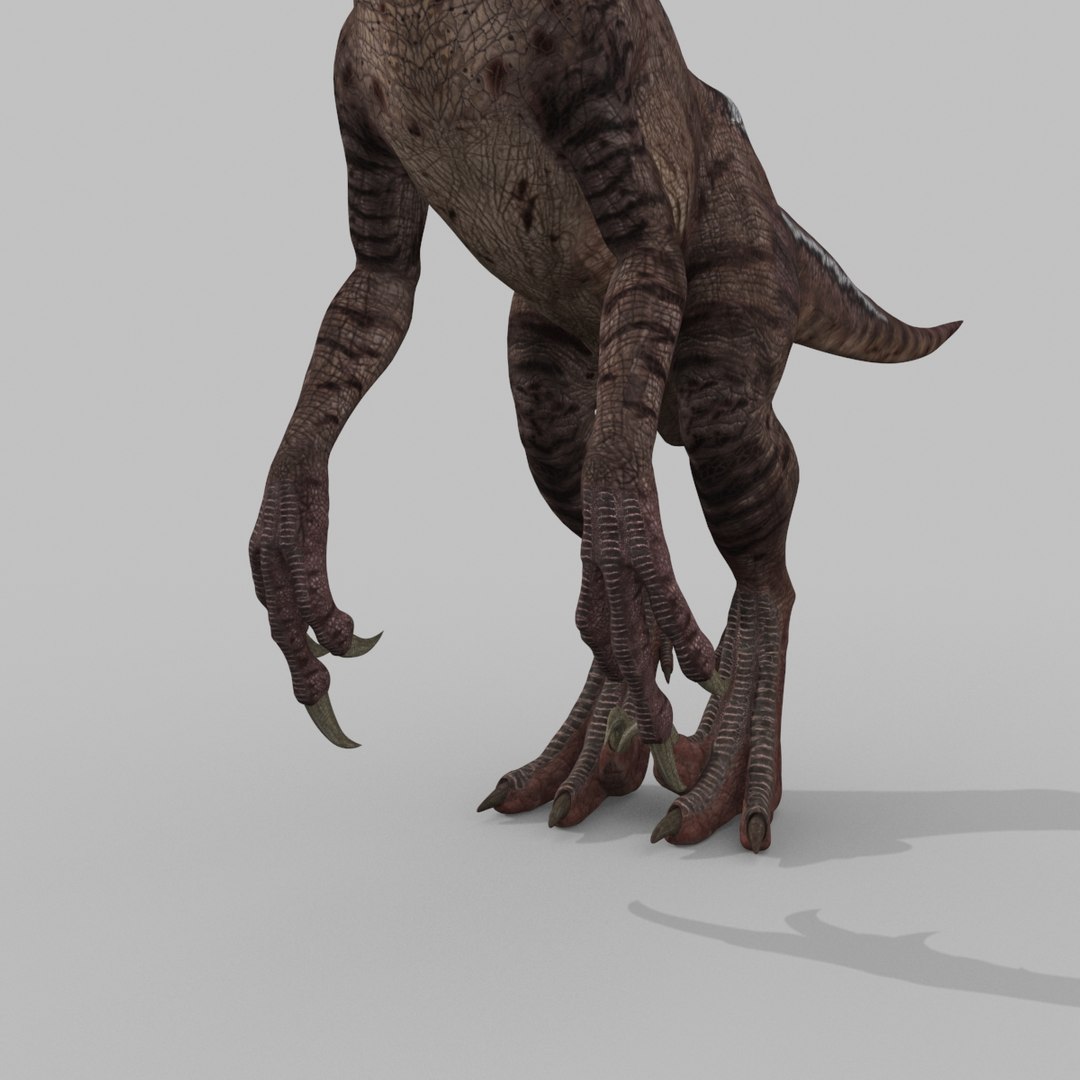 3D raptor - model https://p.turbosquid.com/ts-thumb/M0/9PdUBi/Dc/21/jpg/1615832131/1920x1080/fit_q87/06d422daeb0e5f1480a07120cdce4f1bc9b41ce2/21.jpg