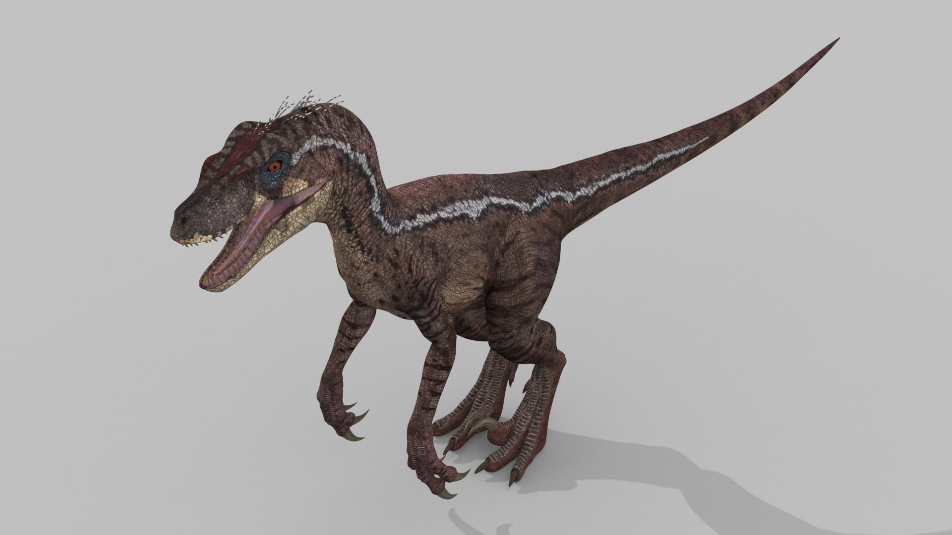 3D raptor - model https://p.turbosquid.com/ts-thumb/M0/9PdUBi/ER/16/jpg/1615832143/1920x1080/fit_q87/a9a81321dd3f8d757ba9f55361142edd46dfa90d/16.jpg