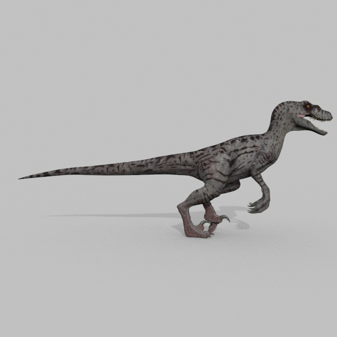 3D raptor - model https://p.turbosquid.com/ts-thumb/M0/9PdUBi/ER/image/jpg/1615832957/1920x1080/turn_fit_q99/9fe902829c73a40c589b983e2056057d2feb765f/image-1.jpg