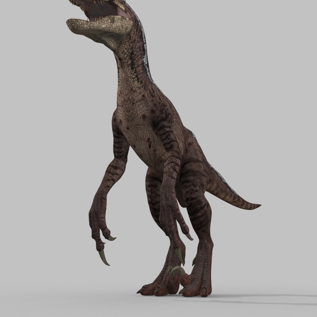 3D raptor - model https://p.turbosquid.com/ts-thumb/M0/9PdUBi/HE/17/jpg/1615832137/1920x1080/fit_q87/6389401ab2374529f46c83079ac25eb2da8aa5d5/17.jpg
