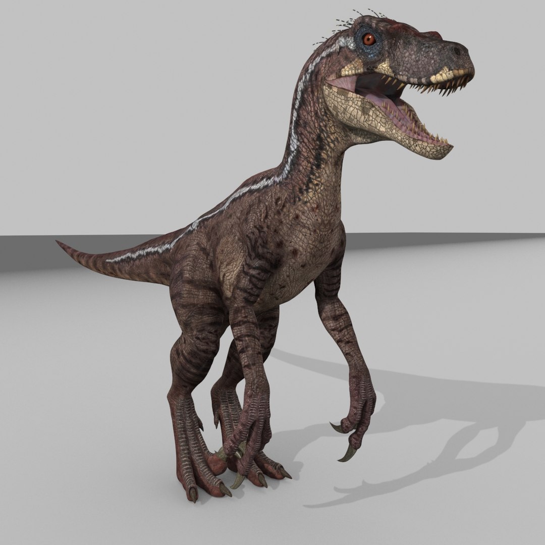 3D raptor - model https://p.turbosquid.com/ts-thumb/M0/9PdUBi/KU/19/jpg/1615832134/1920x1080/fit_q87/e550247faa73fb676b6c77ef40c953b721aaac02/19.jpg