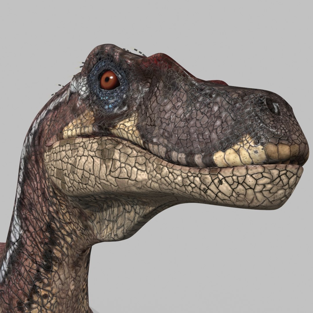 3D raptor - model https://p.turbosquid.com/ts-thumb/M0/9PdUBi/Kz/0/jpg/1615832136/1920x1080/fit_q87/773593b2d51fa31ae68ad5609af685508d7d8476/0.jpg