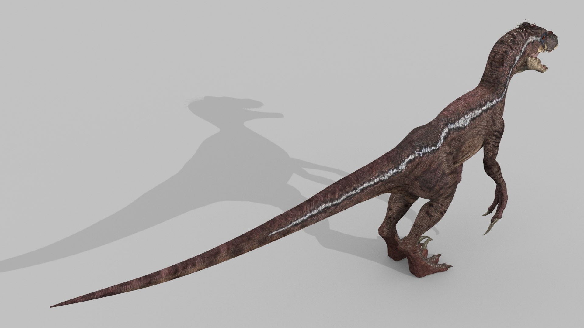 3D raptor - model https://p.turbosquid.com/ts-thumb/M0/9PdUBi/Ld/15/jpg/1615832137/1920x1080/fit_q87/c1d611d394c2ec98168663af5eb9a85a3e7dd838/15.jpg