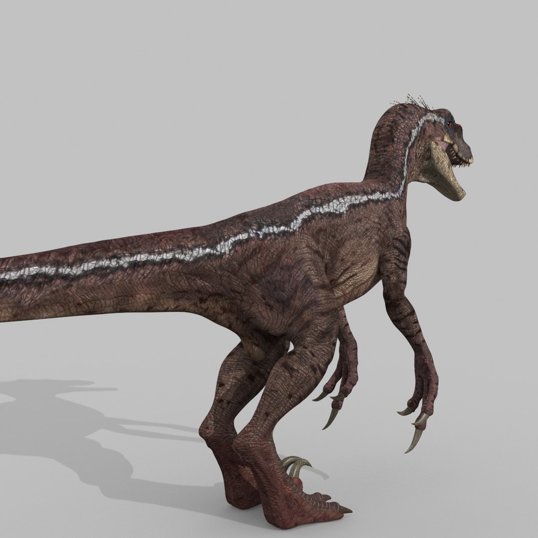 3D raptor - model https://p.turbosquid.com/ts-thumb/M0/9PdUBi/Nb/9/jpg/1615832135/1920x1080/fit_q87/a563b1f7ecd3a45bb8c6673eb2e5085922ad399e/9.jpg