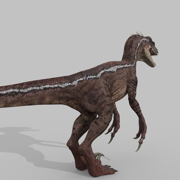 3d Raptor - Model - Turbosquid 1705307