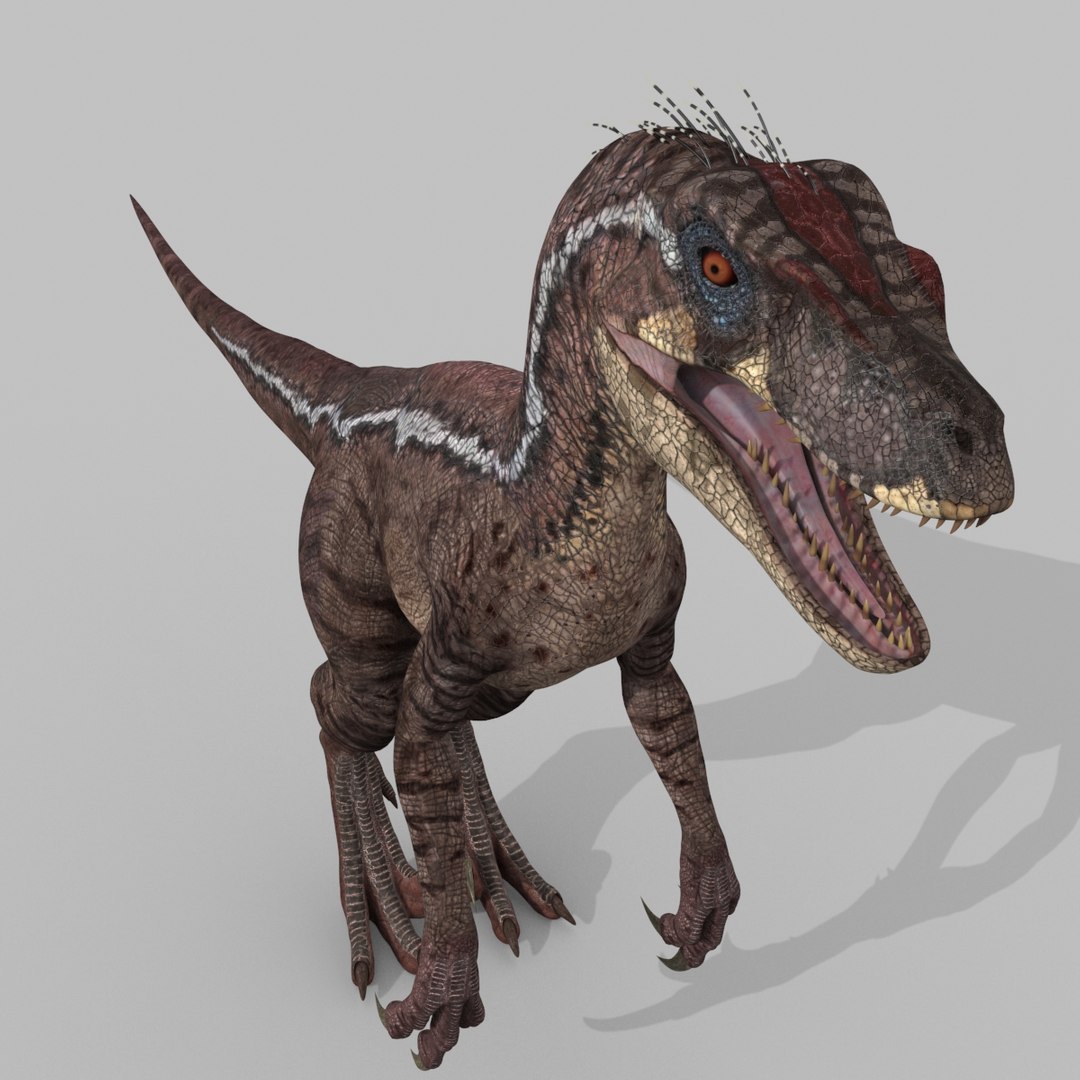 3D raptor - model https://p.turbosquid.com/ts-thumb/M0/9PdUBi/TQ/12/jpg/1615832136/1920x1080/fit_q87/6ef0d241bd7607f458c45308485bb973f87a8efd/12.jpg