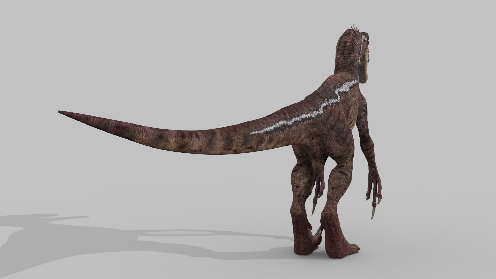 3D raptor - model https://p.turbosquid.com/ts-thumb/M0/9PdUBi/X0/13/jpg/1615832137/1920x1080/fit_q87/046a63ddb194a1ac7c9bc0c06188543304c2bbe1/13.jpg